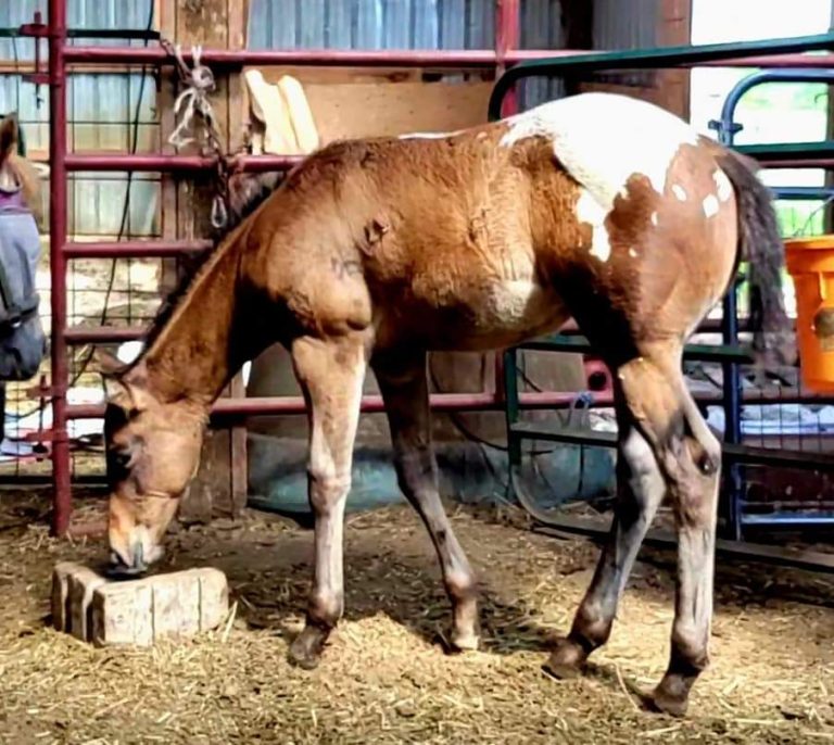 inbound1654539112815760056