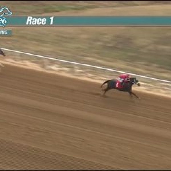 Ivorys20F-MARFIL-Winning101622