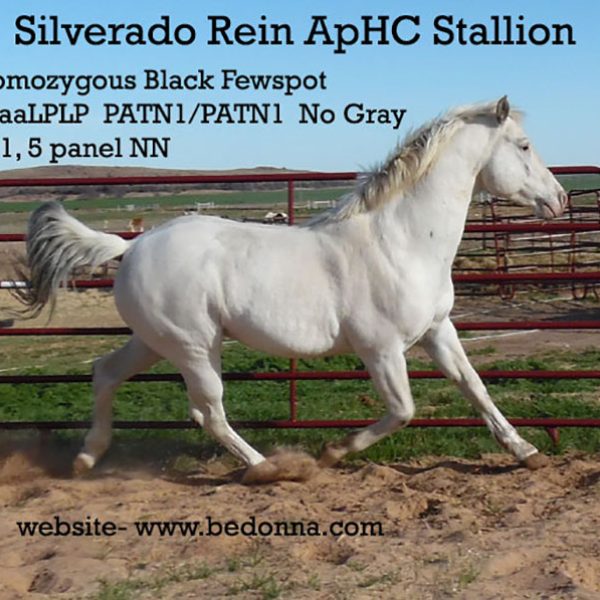 1Silverado30316RSet-Text