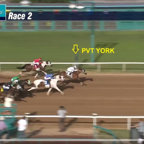Ivory-PvtYork