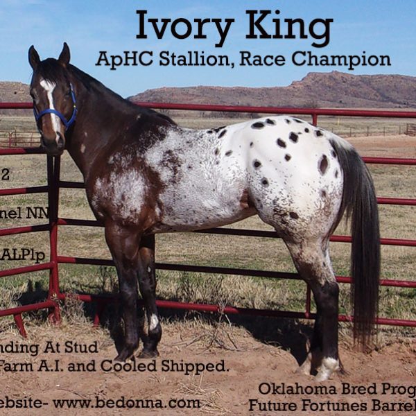 1IvoryKingText