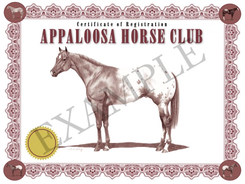 ApHCRegistrationCertificate